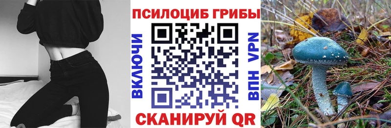 Псилоцибиновые грибы Magic Shrooms  Ак-Довурак 